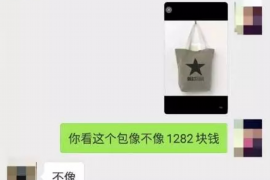 儋州要账公司更多成功案例详情